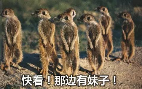 为啥酒店的浴室都是透明的