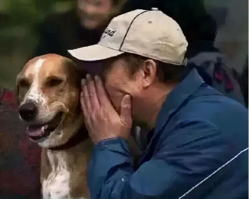 一点吃的,就能把这7种狗狗顺利拐走