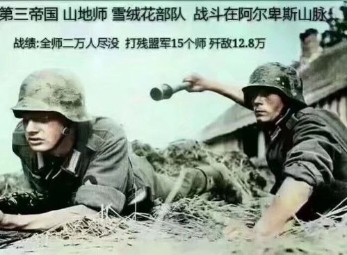 盘点那些在德棍群聊里的表情包5