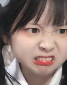 我的收藏夹