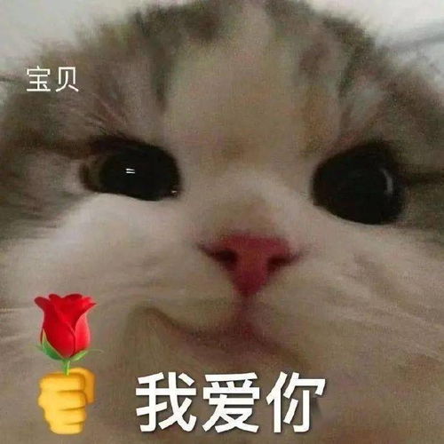 这是我2021年最骄傲的一件事白举纲刘令飞回信