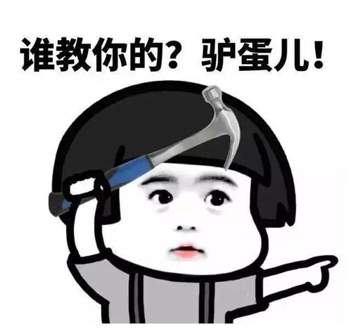 你表情包太多,不想和你聊了