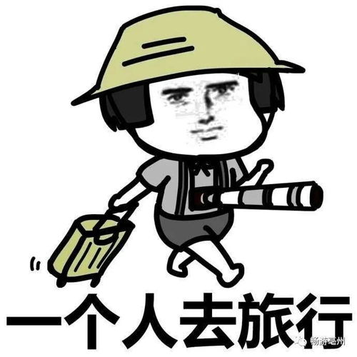 春游江淮请您来亳州和别的城市有啥不一样
