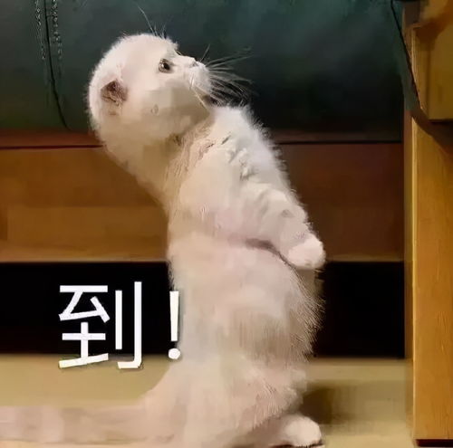 医学生专用表情包,哈哈哈可以说很实用了