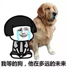 中国单身青年已达200000000有对象的人都是相似的,而单身的人