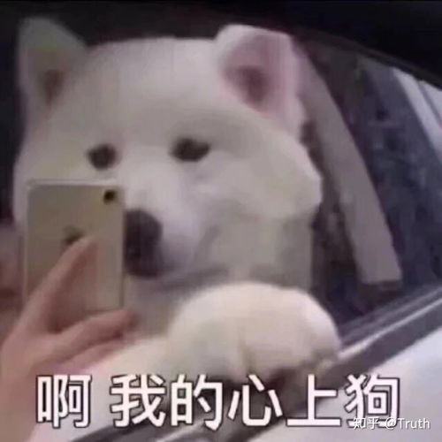 与僵尸小哥哥的恋爱史之我把密室的npc小哥哥变成了自己的男朋友