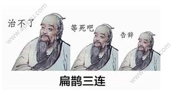 治不了等死吧告辞是什么梗扁鹊三连表情包系列分享热门资讯...