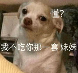 十条笑话别乱想,猪腰子脸就挺好