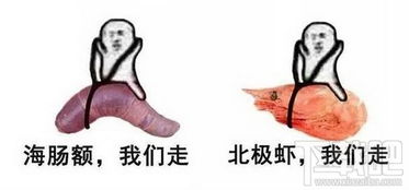 皮皮虾我们走出自哪里皮皮虾我们走表情包下载地址