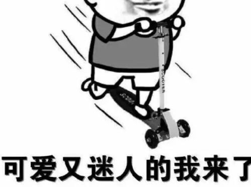 带你穿越2017年的时光回忆录