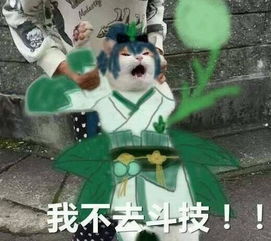 阴阳师崽战表情包来袭,敌方的女人过于真实大舅我不打了
