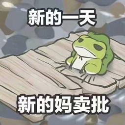 飘荡软件站青蛙qq表情小蛙表情包高清无水印下载