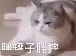 同样是胖,为什么它们就是可爱