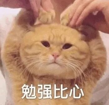 可爱表情包动图