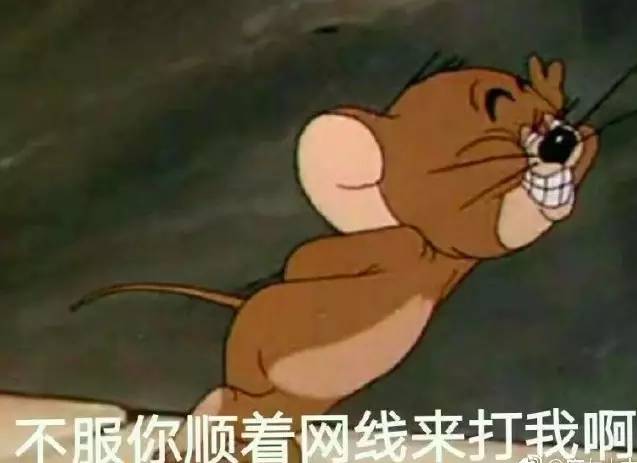 女生在宿舍都会聊些什么不为人知的话题