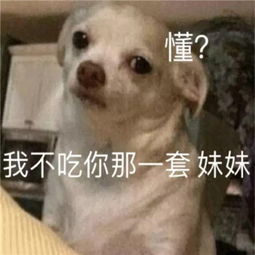 狗狗的沙雕表情包合集男生撩妹的沙雕表情包