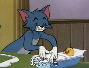 猫和老鼠表情包精选有猫饼