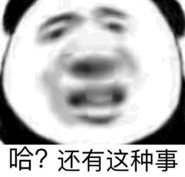 沙雕熊猫头斗图表情包