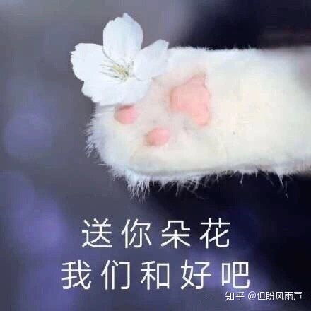 为什么很多人都要说东北而不说黑龙江吉林辽宁蒙东东四盟