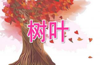 幼儿园中班语言表情歌ppt课件教案下载快思幼教网