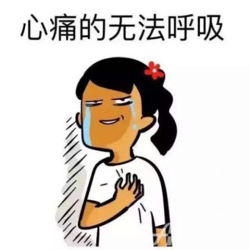 十分钟解决战斗国服陪打上分就是soeasy