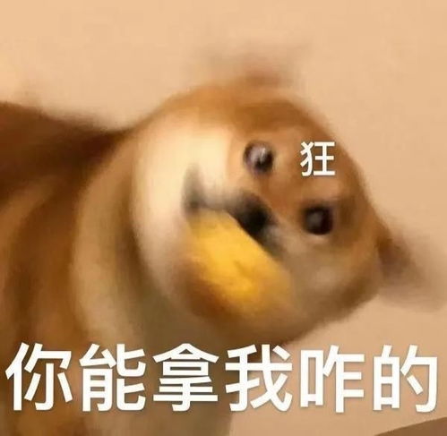 2019搞笑表情包沙雕