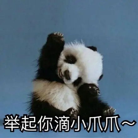 可爱熊猫表情包第一弹