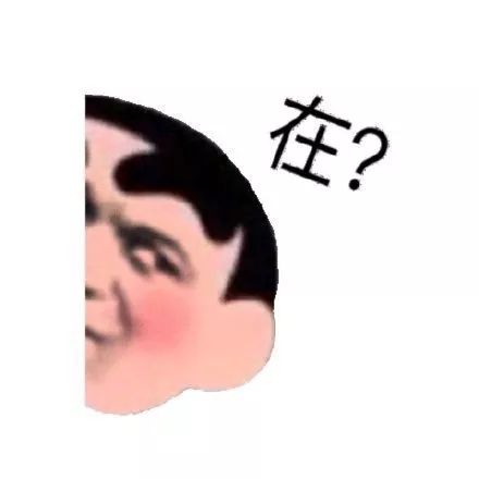 搞笑动态图gif表情包我养你啊