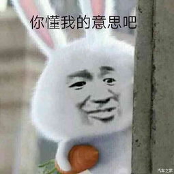 实用到你们想打死我的生活小技巧一