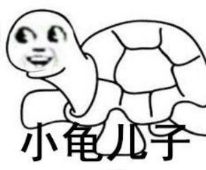 很多羊表情包