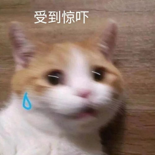胆大点开,胆小走开7个专走另类风格的博主,你敢看到第几个