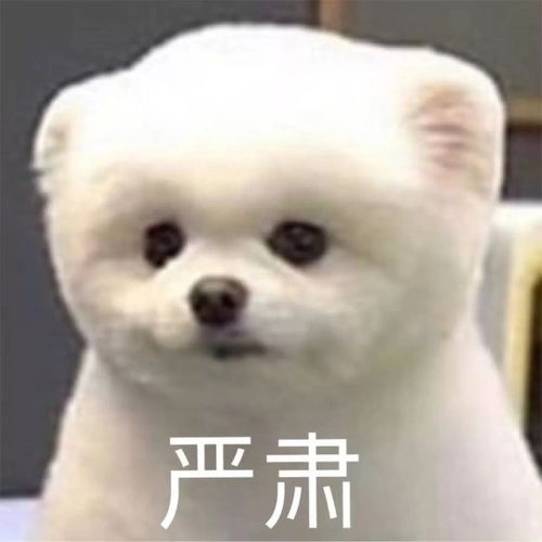 朱朝阳到底是不是坏小孩啊