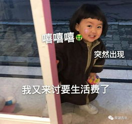 生活费去哪了