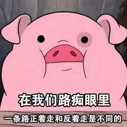 精选图片帖九台论坛第47页