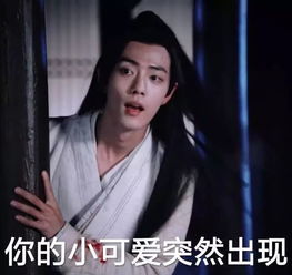 阳光心灵站丨宣传纳新,做你的小幸运