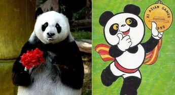 1044分享泪目一代人的集体回忆熊猫盼盼,结束传奇而顽强的熊生