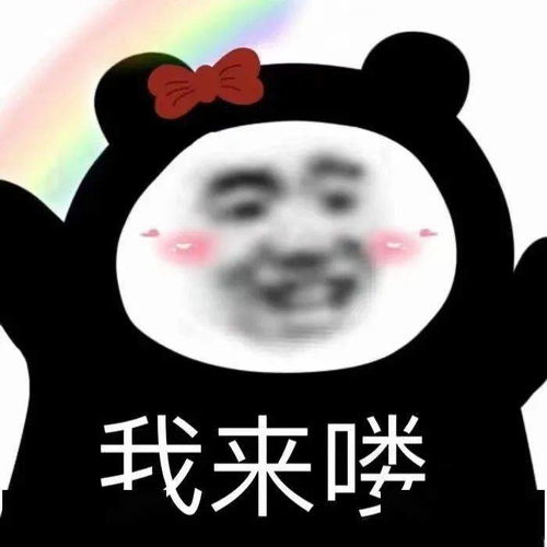 超实用沙雕熊猫头表情包