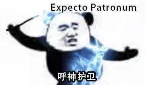 神奇动物2你看了吗