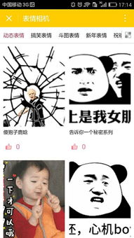 名称在线查询