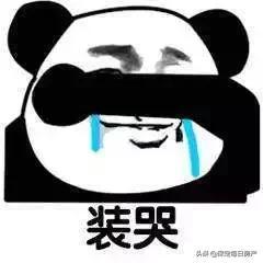 温情相聚,美好相约荣盛国际中心宠溺业主模式已开启