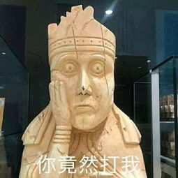 表情一组天然雕塑表情包