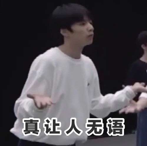 刘耀文表情包大师