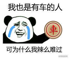 别人关心你飞得高不高而我啥也不关心