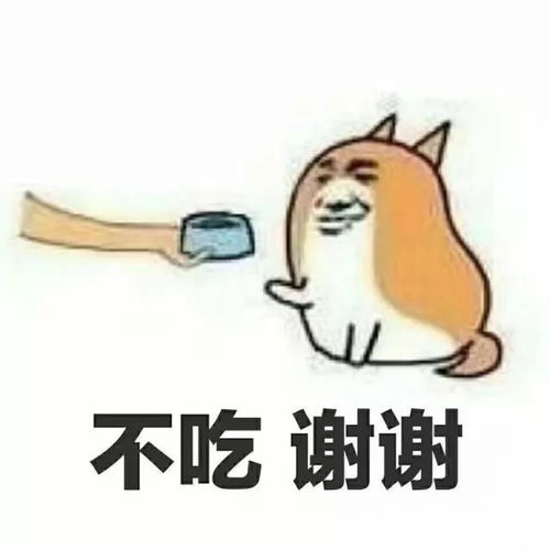信息生活情人节我们又见面啦
