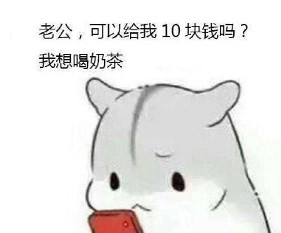 这对形婚夫妻,终于离了
