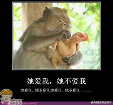 趣图哈哈.mx