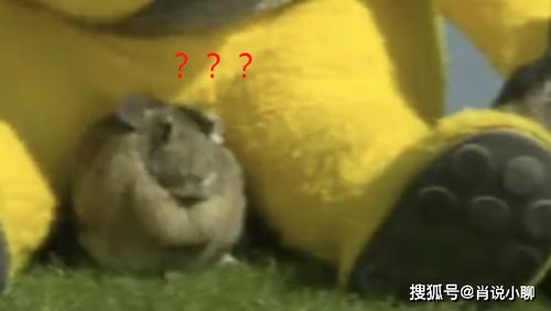 我知道很大,没想到那么那么大