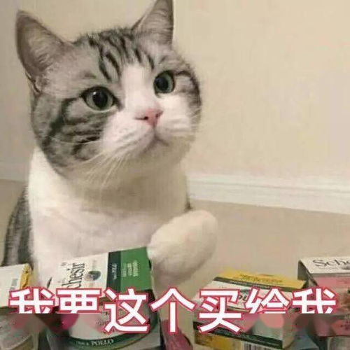 猫猫表情包第十期丨爱情这杯酒,谁喝都得醉