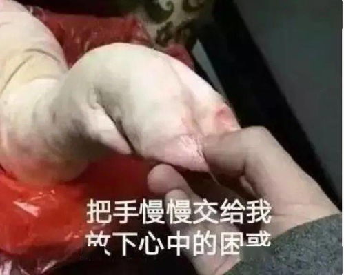 福利丨托福tpo165真题放出,无套路,免费送