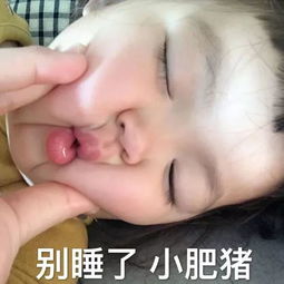 新年手账推荐